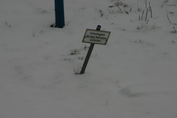 Schneerudern2005 016